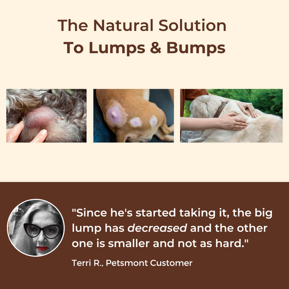 PETSMONT BUDDY GUARD: The Supplement For Dogs With Lumps  Bumps